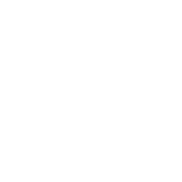 Ollama logo
